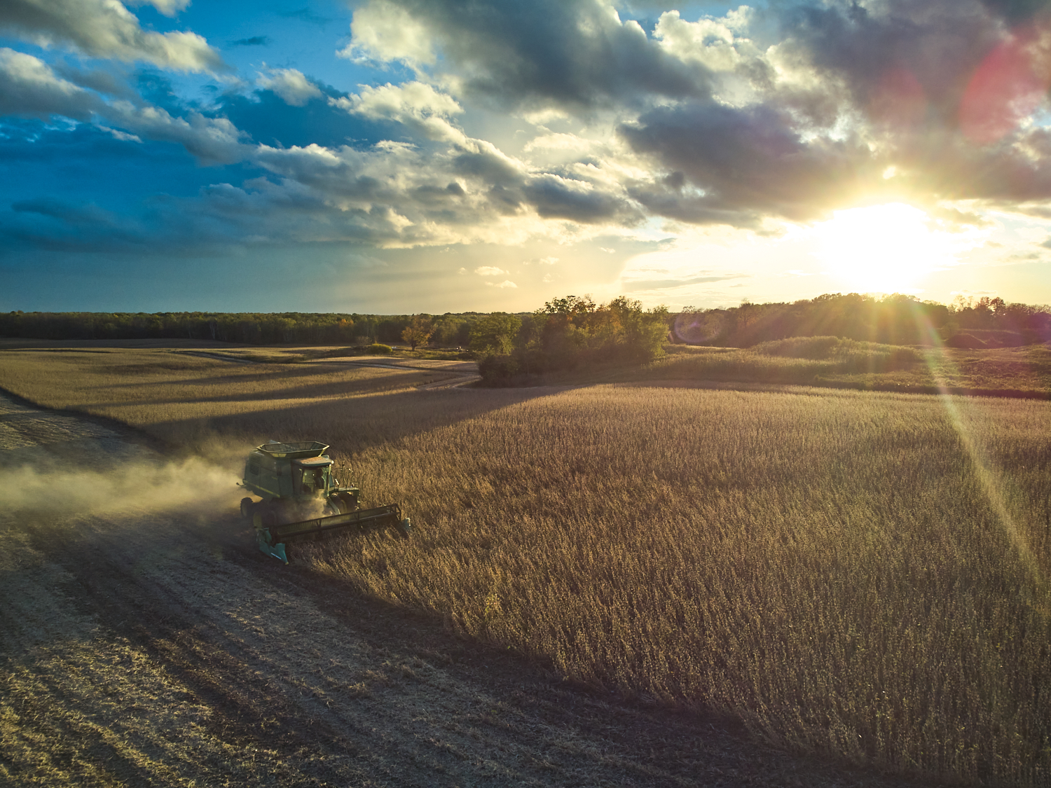 loam bio soybean harvest